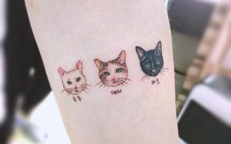 34 MEJORES fotos de tatuajes de gatos y su significado img
