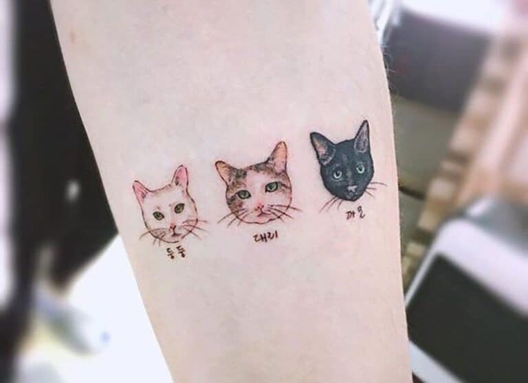 tatuajes de gatos